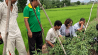 Chư A Thai - Thành công từ mô hình “cây cà chua ghép gốc cây cà gai